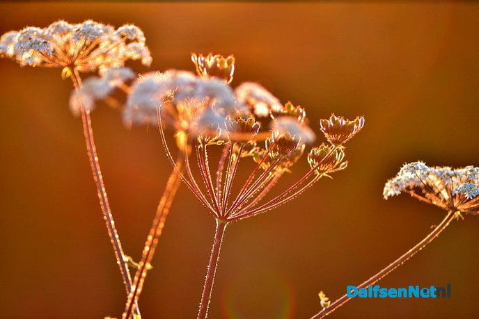Foto’s zonder tekst - Foto: Ben Jonkman