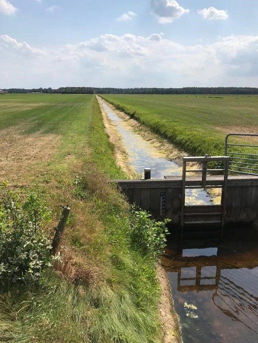 Update over de droogte in ons gebied - Foto: Eigen geleverde foto