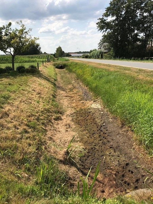 Update over de droogte in ons gebied - Foto: Eigen geleverde foto