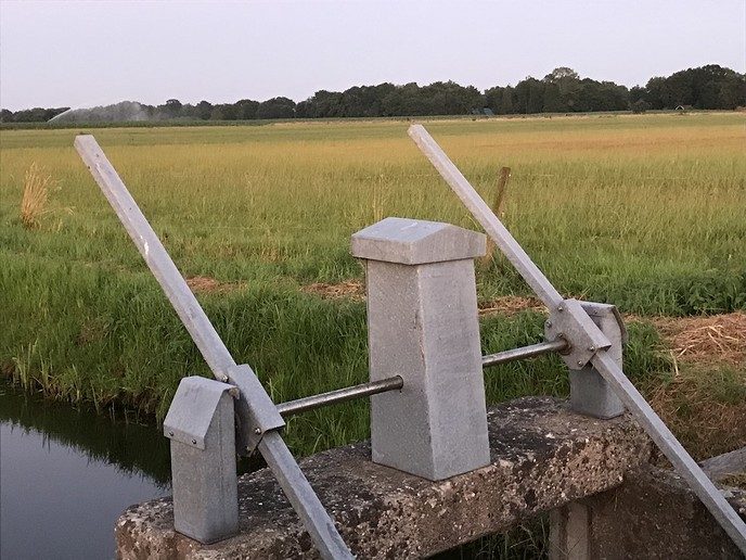 Update droogte: de regen helpt nauwelijks - Foto: Eigen geleverde foto