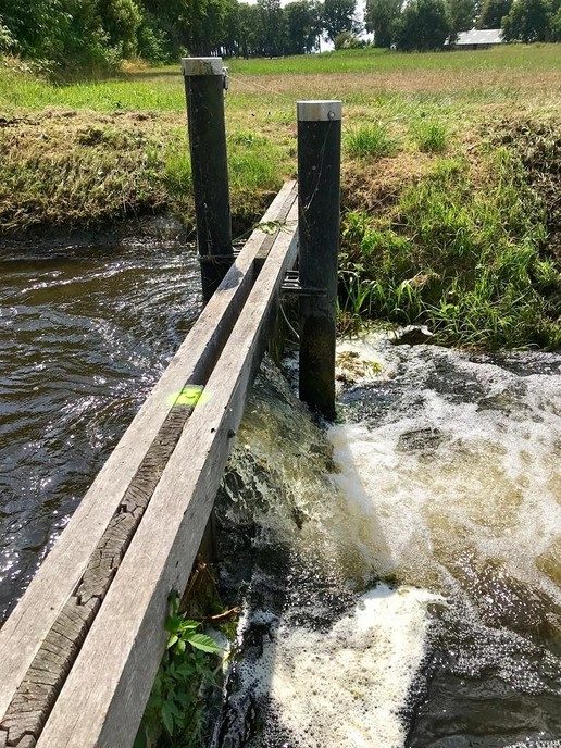 Update droogte: de regen helpt nauwelijks - Foto: Eigen geleverde foto