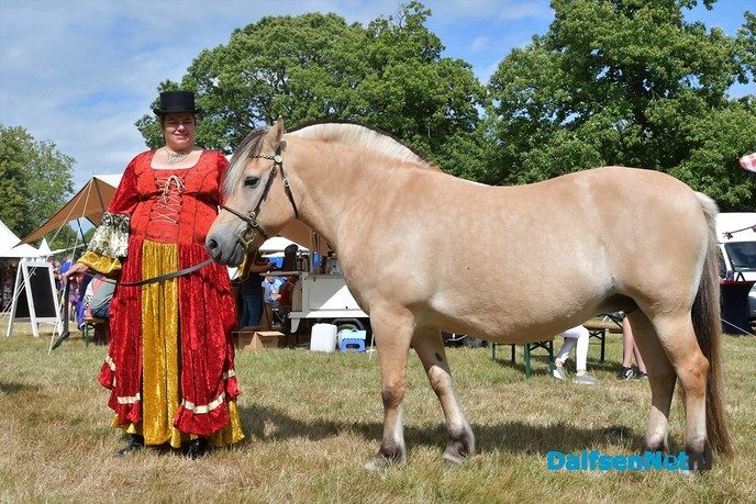 Organisatie kijkt terug op een geslaagde Zomerfair - Foto: Johan Bokma