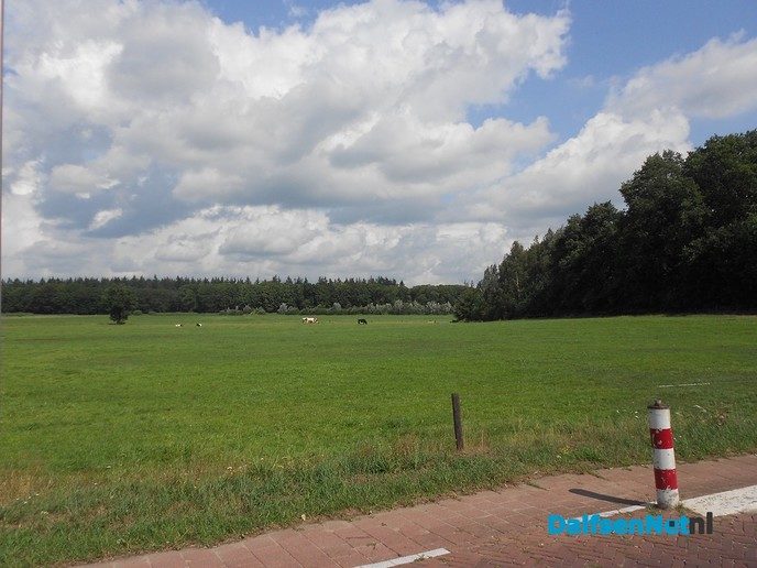 Dieptebeeld vanaf de Hoonhorst