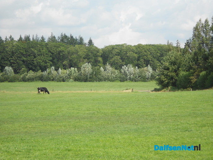 Dieptebeeld vanaf de Hoonhorst