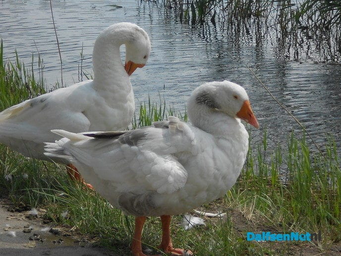 Bermtoeristen