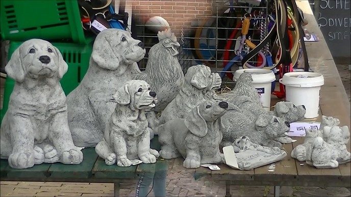 Video impressie 3e blauwebogendag Dalfsen 2019.