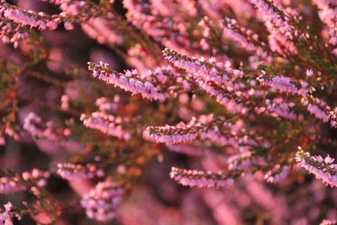 Ingezonden omgevingsfoto’s - Foto: Eigen geleverde foto