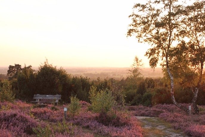 Ingezonden omgevingsfoto’s - Foto: Eigen geleverde foto