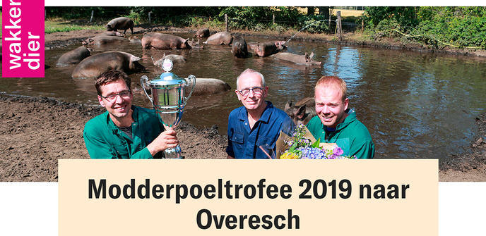 Varkenshouder Overesch in het nieuws