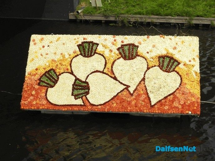 Dahlia’s terug in Lemelerveld - Foto: Ingezonden foto