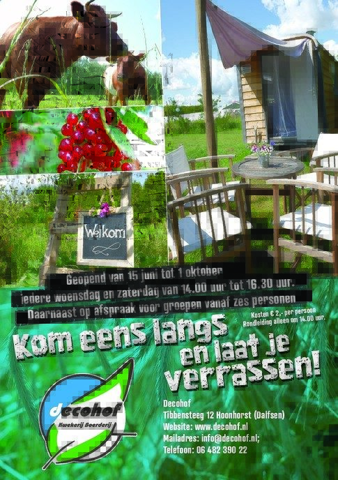 Echte komkommertijd op de decohof in Hoonhorst - Foto: Eigen geleverde foto