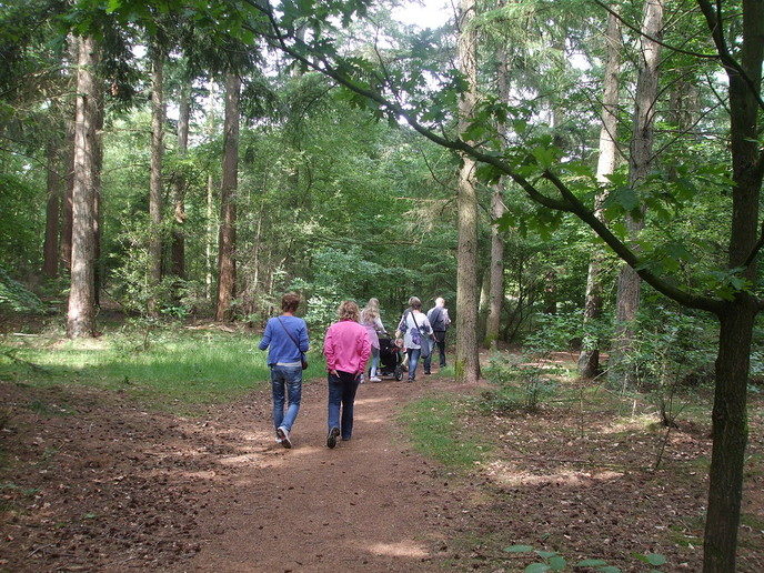 PLINQ-Loopfestijn voegt wandeltocht toe - Foto: Eigen geleverde foto