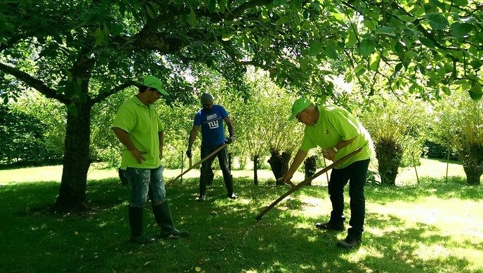 Cursus ‘Maaien met de zeis’ - Foto: Eigen geleverde foto