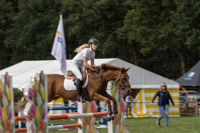 Concours Hippique de Heideruiters in Dalfsen - Foto: Ron Feijen