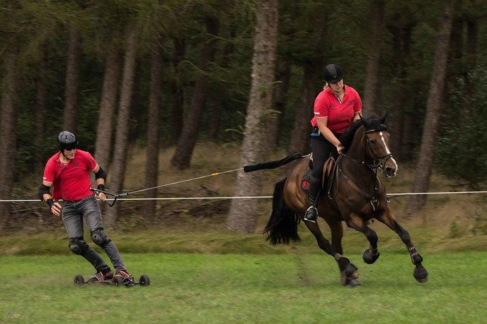Concours Hippique de Heideruiters in Dalfsen - Foto: Ron Feijen