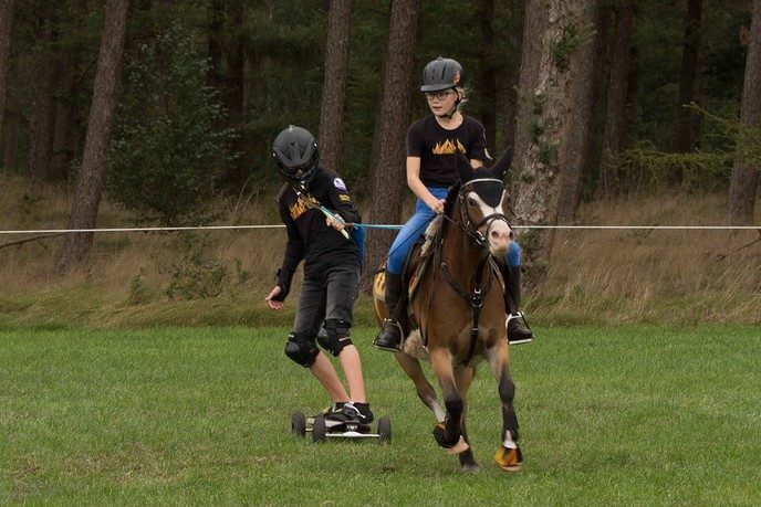 Concours Hippique de Heideruiters in Dalfsen - Foto: Ron Feijen