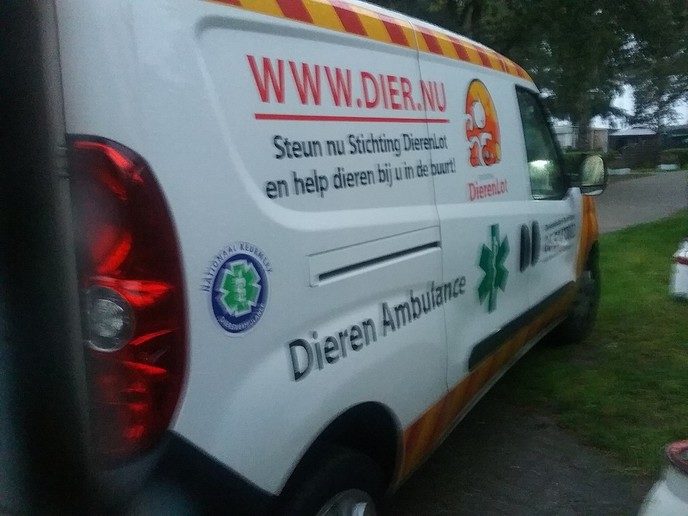 Zorg om eekhoorntje - Foto: Eigen geleverde foto