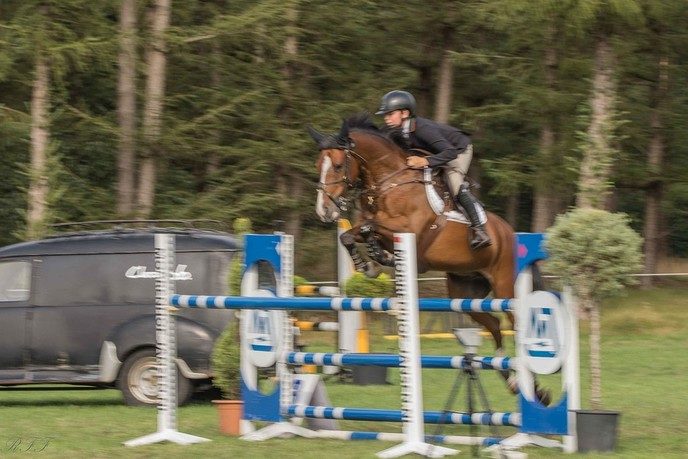 Concours Hippique de Heideruiters in Dalfsen - Foto: Ron Feijen