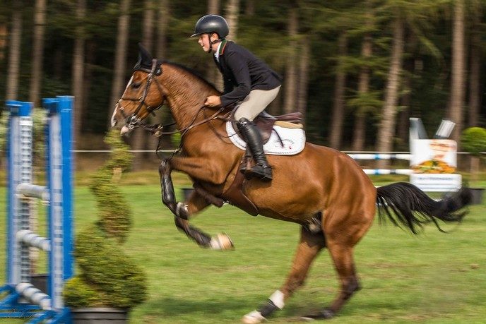 Concours Hippique de Heideruiters in Dalfsen - Foto: Ron Feijen