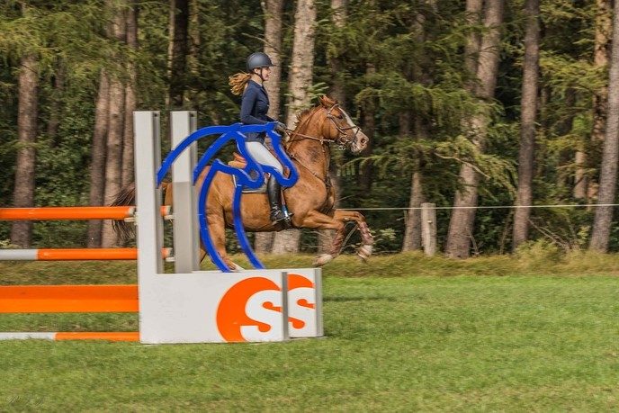 Concours Hippique de Heideruiters in Dalfsen - Foto: Ron Feijen