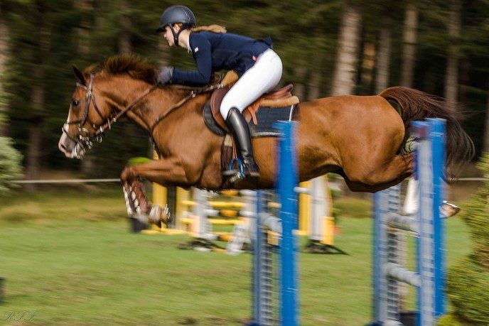 Concours Hippique de Heideruiters in Dalfsen - Foto: Ron Feijen