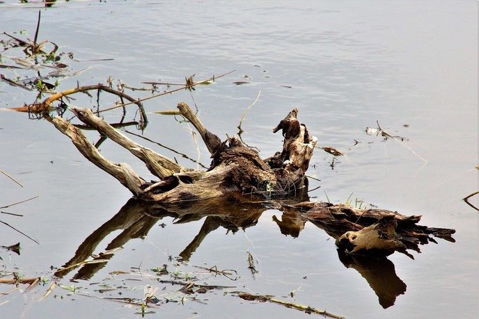 Expositie Doede: variatie zonder glas - Foto: Eigen geleverde foto