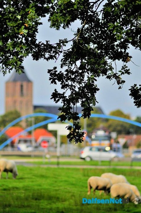 Zo maar - Foto: Ben Jonkman