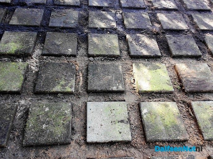 Stamtafel over “Tuinen in Dalfsen, groen of beton”