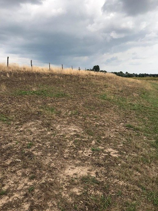 Schades en kwetsbare plekken - Foto: Eigen geleverde foto