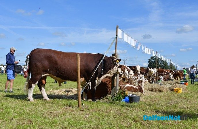 Proef Dalfsen bedankt! - Foto: Johan Bokma
