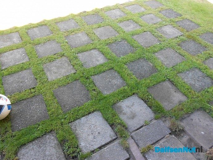 Stamtafel over “Tuinen in Dalfsen, groen of beton”