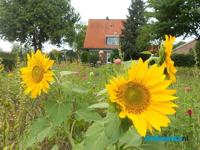 Kaasfabriek doet ook aan biodiversiteit