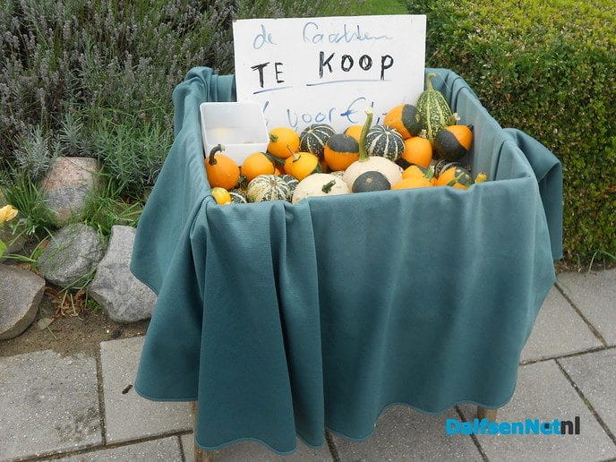 Bijna uitverkocht - Foto: Eigen geleverde foto