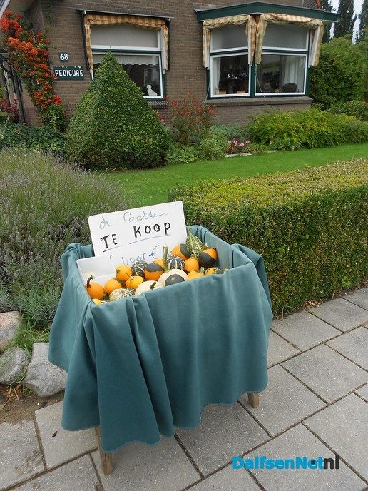 Bijna uitverkocht - Foto: Eigen geleverde foto