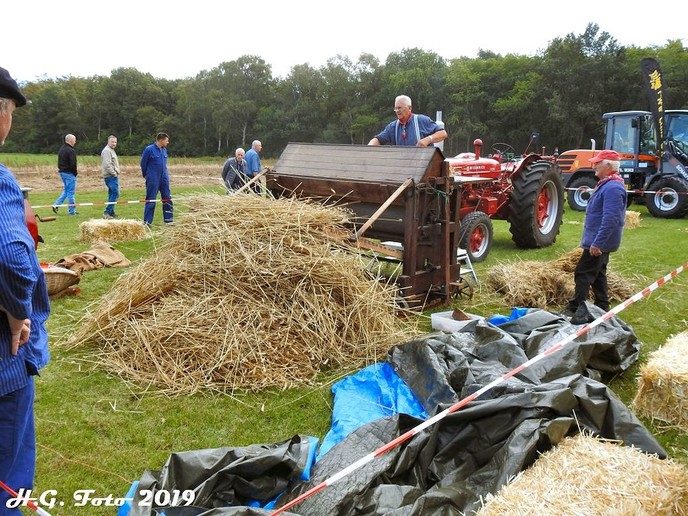 Oogstdag de Spokkeriete