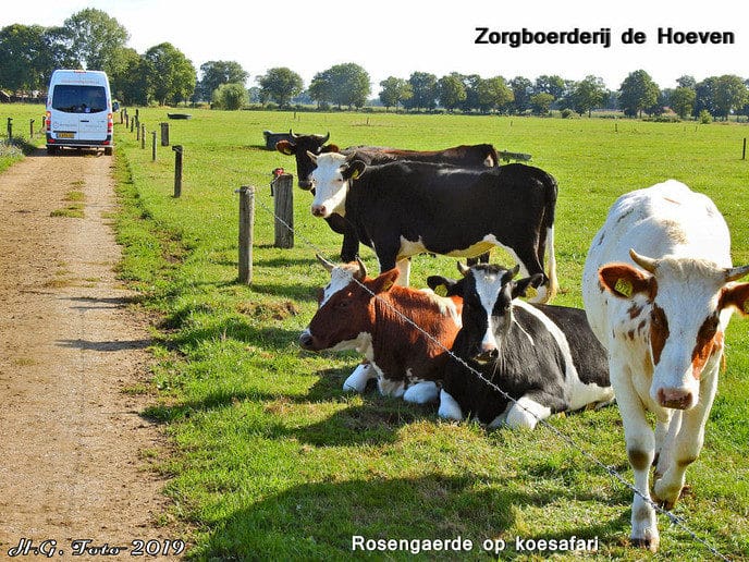 Proef Dalfsen in de regio Oudleusen zeer geslaagd.
