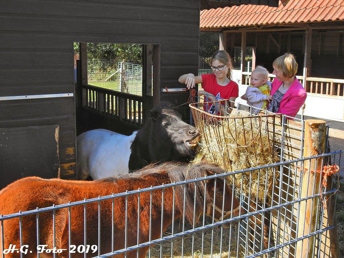 Natuurboerderij Lindehoeve 15 jaar.(+ Video).