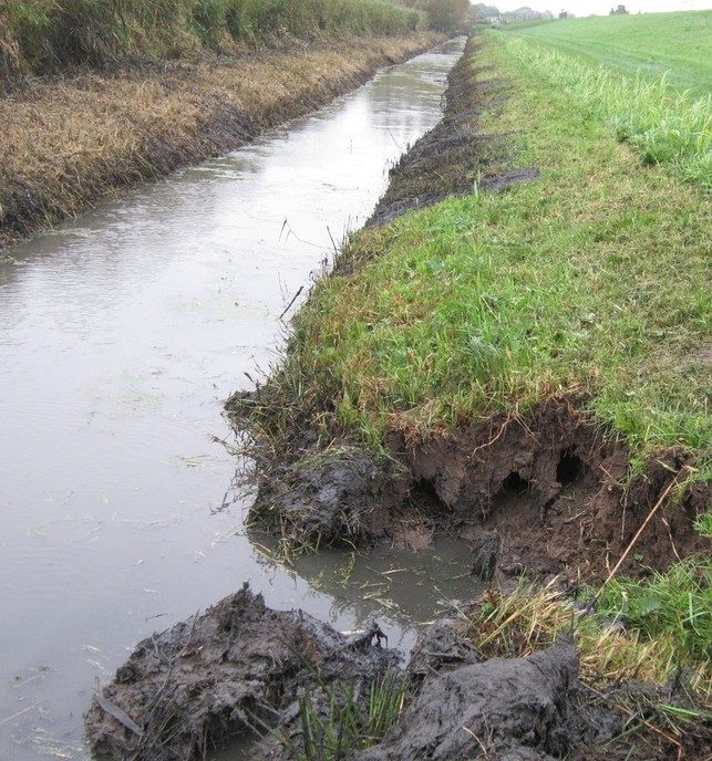Schades en kwetsbare plekken - Foto: Eigen geleverde foto
