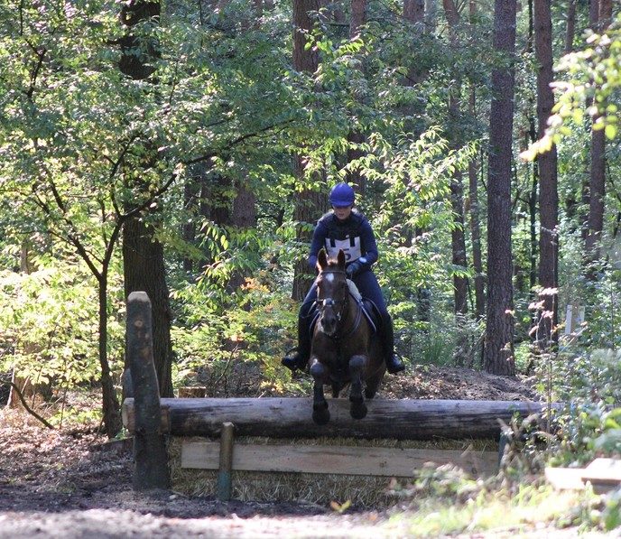 Zondag paardensportspektakel rondom de Berkendijk - Foto: Eigen geleverde foto