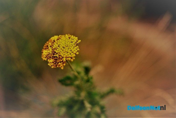 Zomer voorbij en kleurrijke herfst in aantocht - Foto: Ben Jonkman