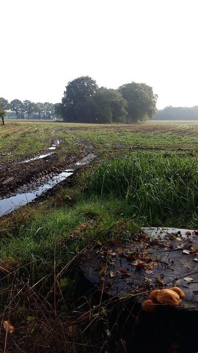 Herfst in De Mataram - Foto: Eigen geleverde foto