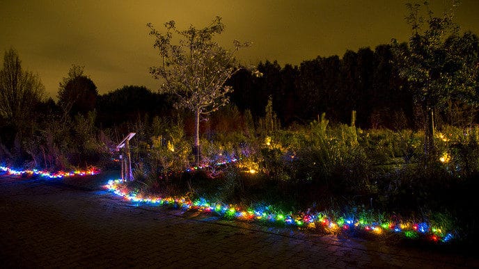 Nacht van de nacht verslag - Foto: Eigen geleverde foto