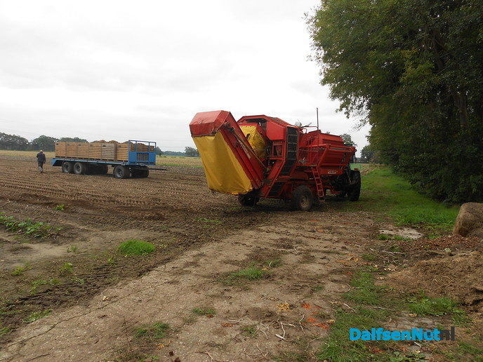 Aardappels rooien