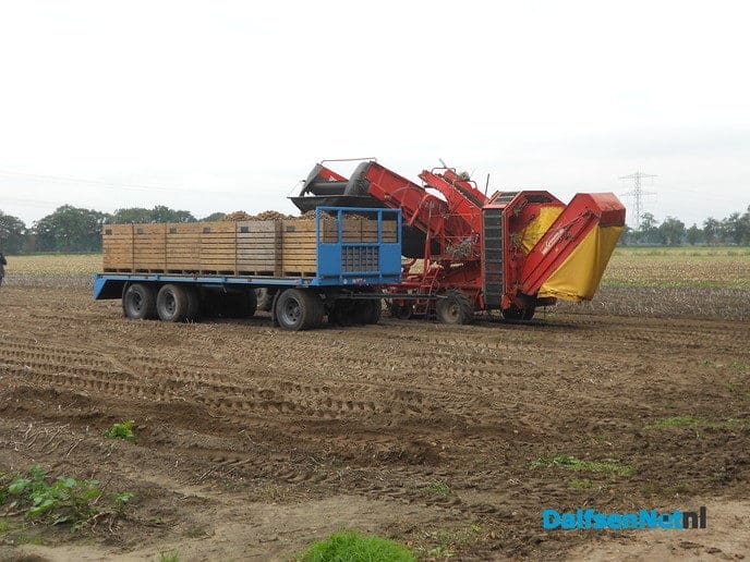 Aardappels rooien