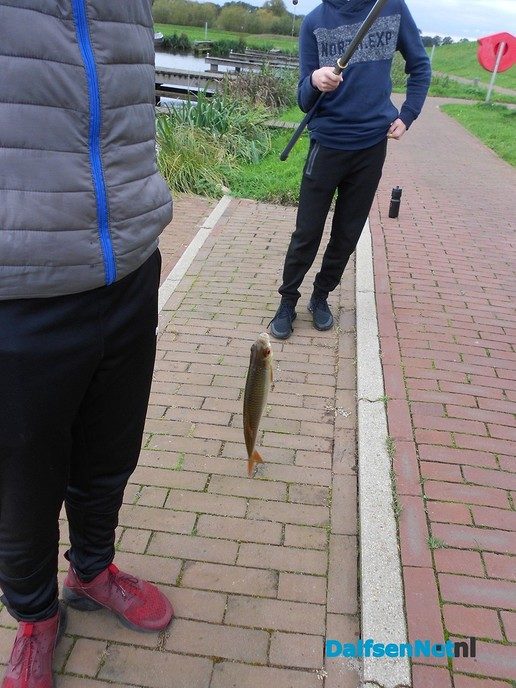 De vissen wilden niks vandaag