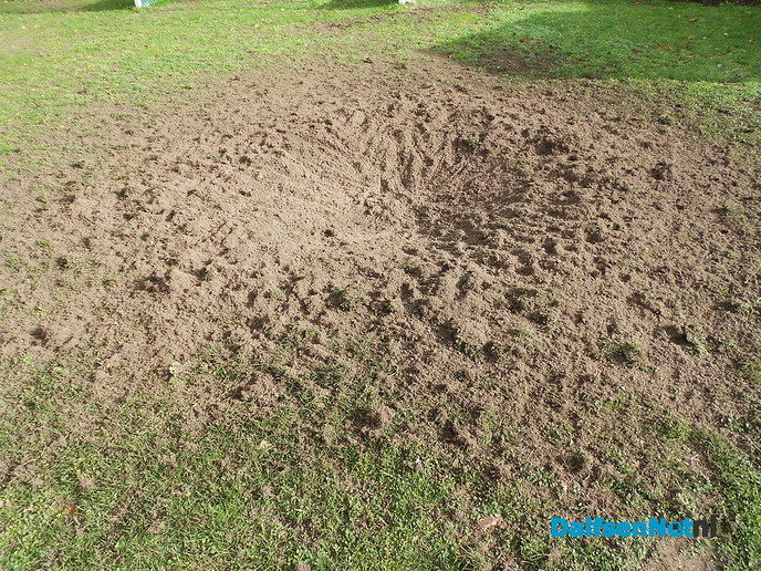 De hond even naar buiten