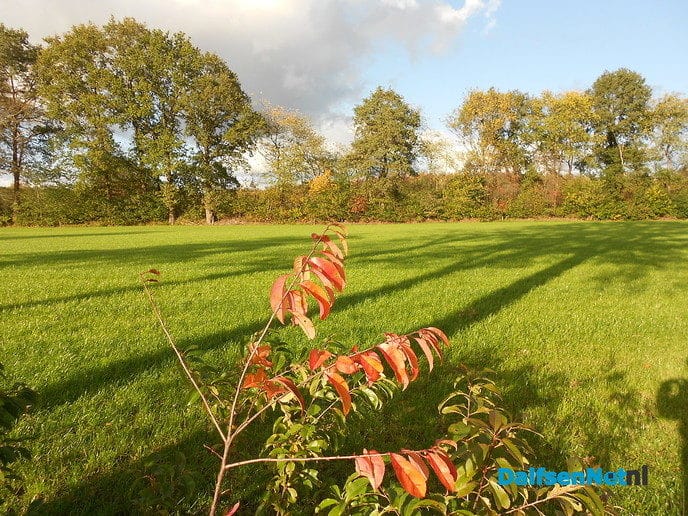 Mooie herfstkleuren