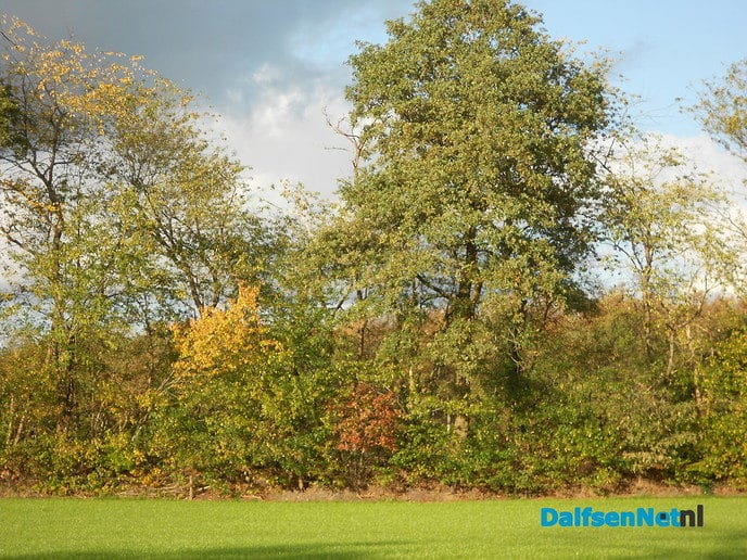 Mooie herfstkleuren