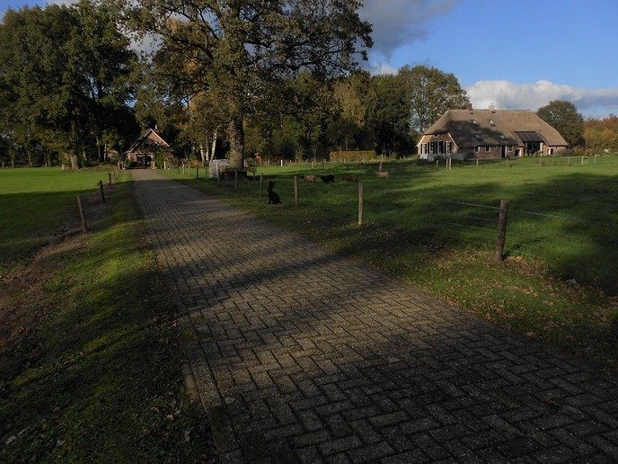Eerst de das, toen de wolf en nu ook nog de reuzehaas - Foto: Eigen geleverde foto