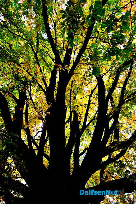 De herfstkleuren zijn er weer - Foto: Ben Jonkman